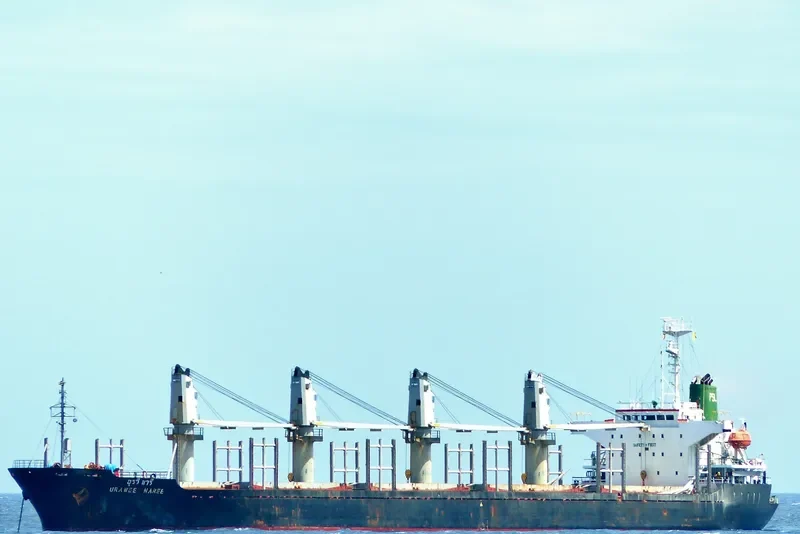 TAI HO Bulk Carrier IMO 9157351 photo 5