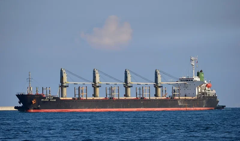 TAI HO Bulk Carrier IMO 9157351 photo 10