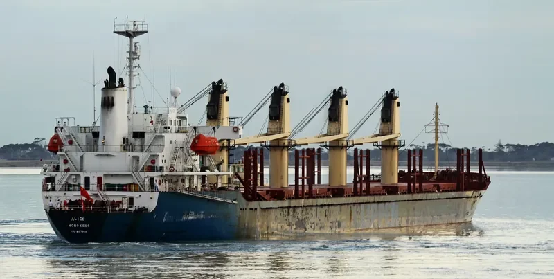 TINA Bulk Carrier IMO 9157363 photo 4