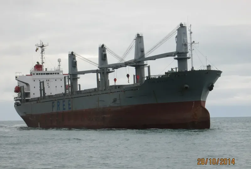 BEST VOYAGER Bulk Carrier IMO 9157416 photo 6