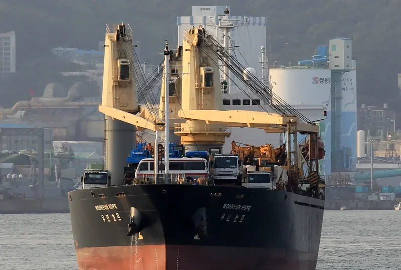 NEW HOPE General Cargo IMO 9157430 photo 5