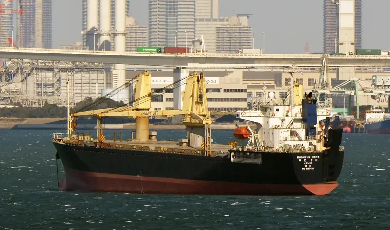 NEW HOPE General Cargo IMO 9157430 photo 6