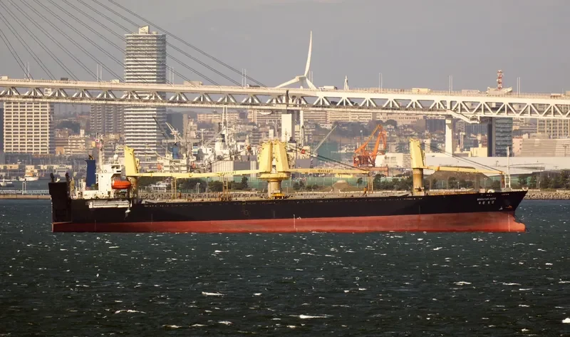 NEW HOPE General Cargo IMO 9157430 photo 7