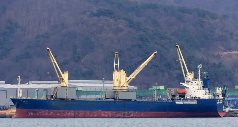 NEW HOPE General Cargo IMO 9157430 photo 9