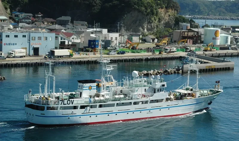 KUROSHIO General Cargo IMO 9157454 photo 3