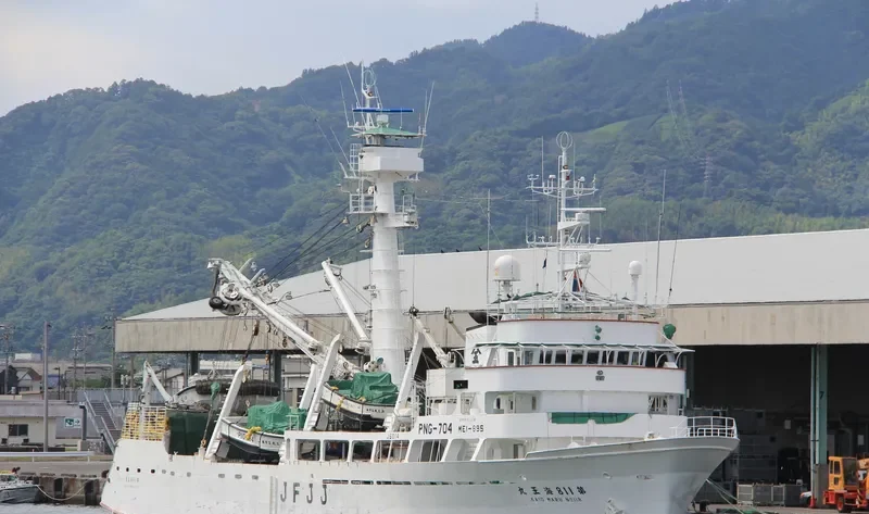 KAIO MARU NO.118 General Cargo IMO 9157466 photo 2