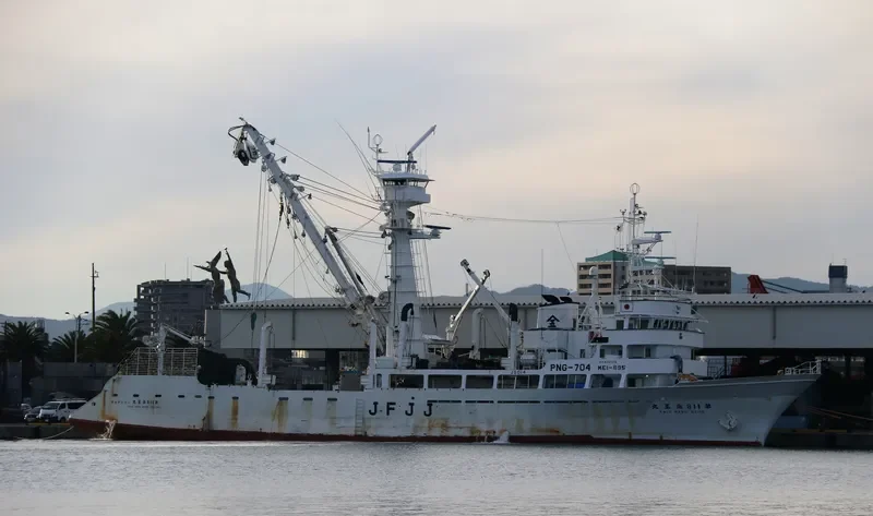 KAIO MARU NO.118 General Cargo IMO 9157466 photo 5