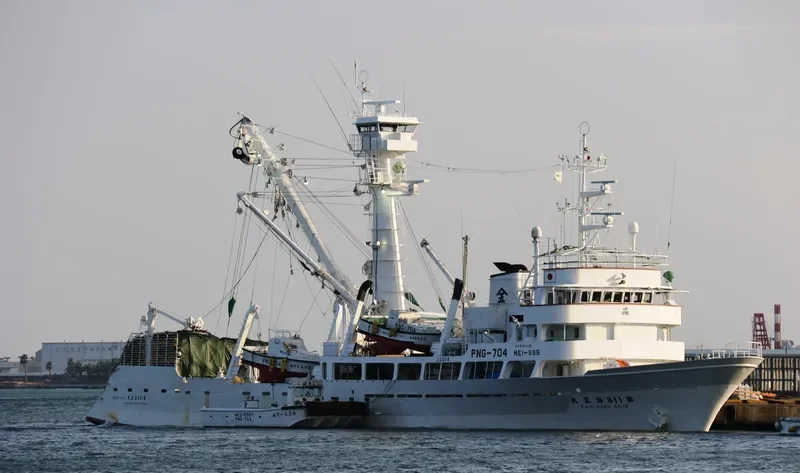 KAIO MARU NO.118 General Cargo IMO 9157466 photo 6