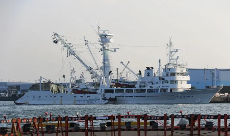 KAIO MARU NO.118 General Cargo IMO 9157466 photo 8