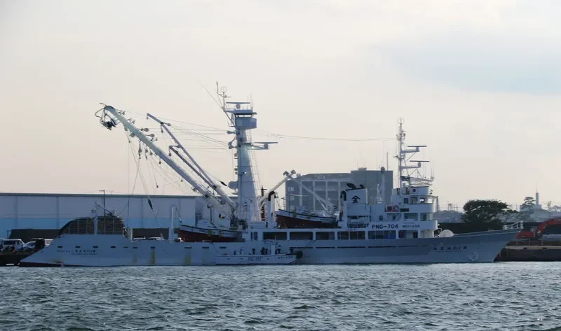 KAIO MARU NO.118 General Cargo IMO 9157466 photo 9