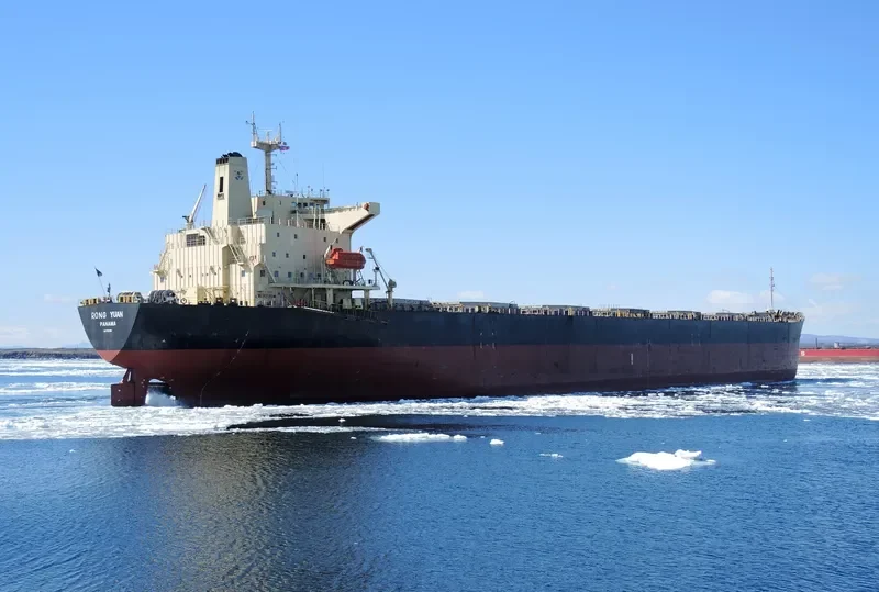 RONG YUAN Bulk Carrier IMO 9157507
