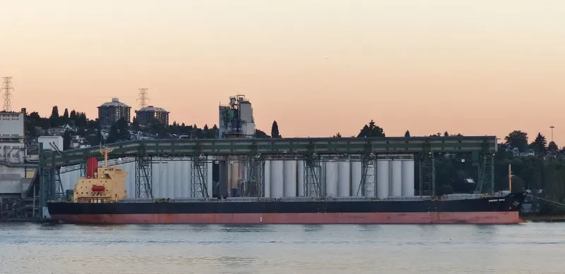 RONG YUAN Bulk Carrier IMO 9157507 photo 5
