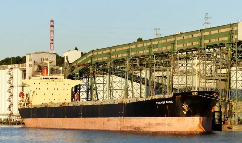 RONG YUAN Bulk Carrier IMO 9157507 photo 6