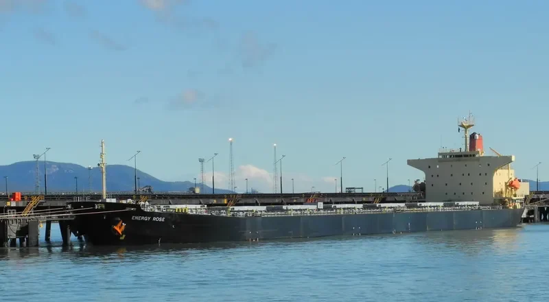 RONG YUAN Bulk Carrier IMO 9157507 photo 7
