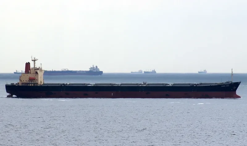 RONG YUAN Bulk Carrier IMO 9157507 photo 8