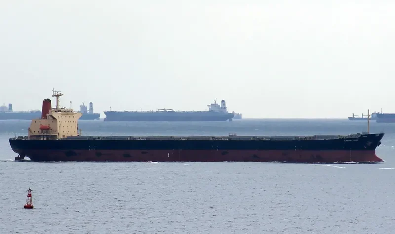 RONG YUAN Bulk Carrier IMO 9157507 photo 9