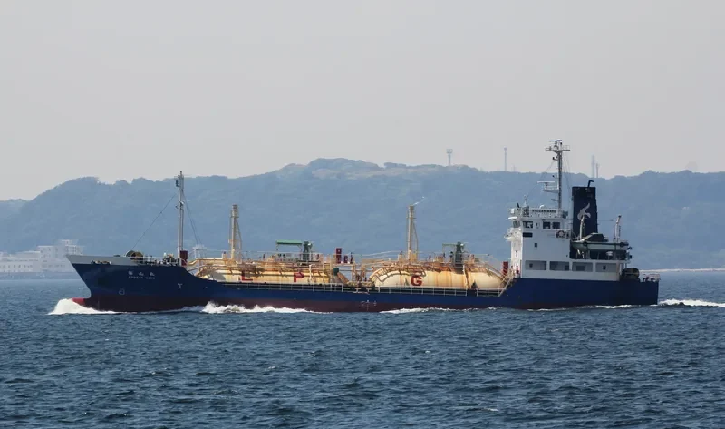 PILATUS 54 General Cargo IMO 9157583 photo 2