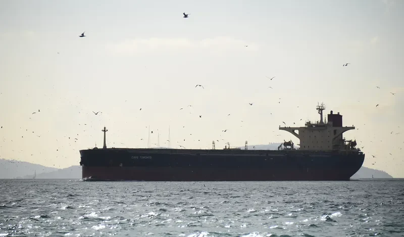 KING DAVID Bulk Carrier IMO 9157612 photo 2