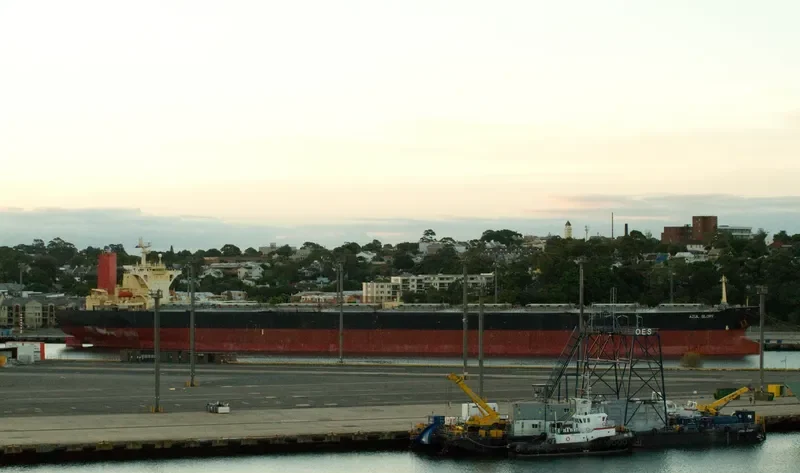 KING DAVID Bulk Carrier IMO 9157612 photo 7