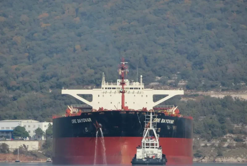 ORE BAYOVAR Bulk Carrier IMO 9157686 photo 9