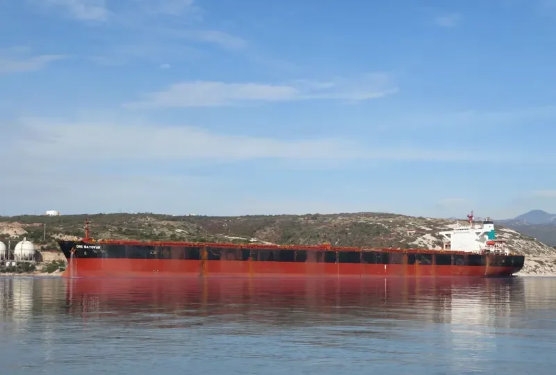 ORE BAYOVAR Bulk Carrier IMO 9157686 photo 10
