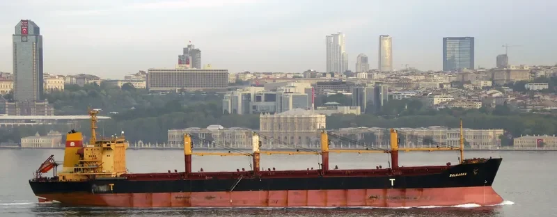 BALGARKA Bulk Carrier IMO 9158159 photo 8