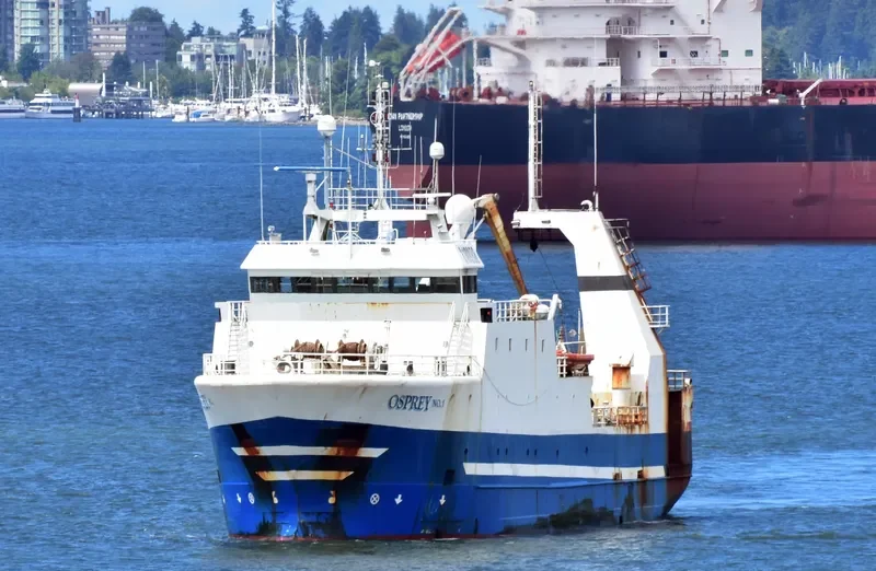OSPREY NO.1 General Cargo IMO 9158173 photo 6