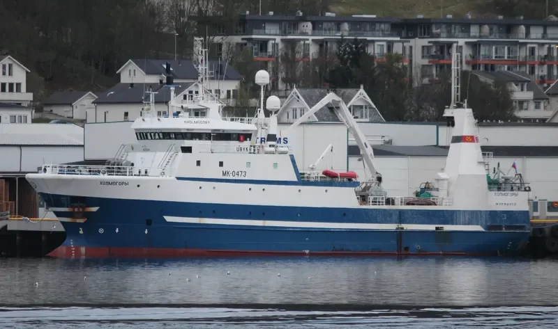 KHOLMOGORY General Cargo IMO 9158185 photo 3