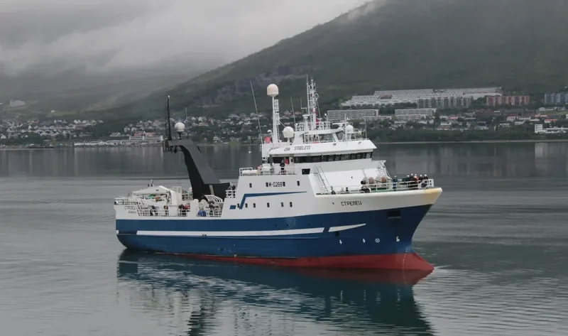 STRELETS General Cargo IMO 9158197