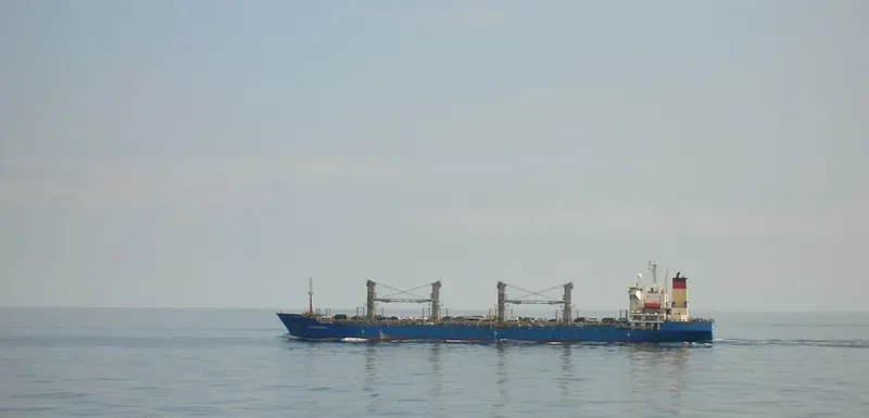 XUCHANGHAI Bulk Carrier IMO 9158379 photo 3