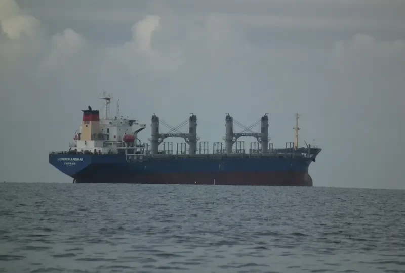 DONGCHANGHAI Bulk Carrier IMO 9158381 photo 3