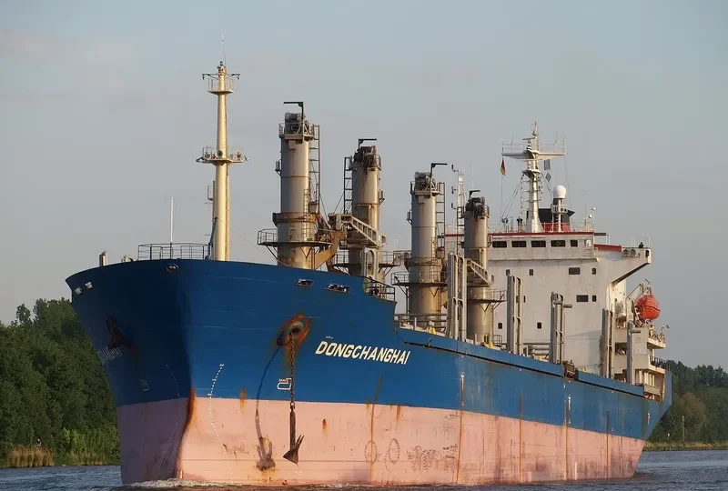 DONGCHANGHAI Bulk Carrier IMO 9158381 photo 6