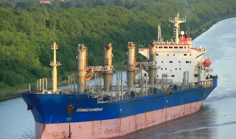DONGCHANGHAI Bulk Carrier IMO 9158381 photo 9