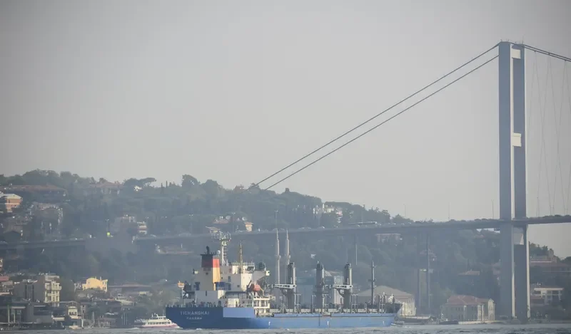 YICHANGHAI Bulk Carrier IMO 9158393 photo 3