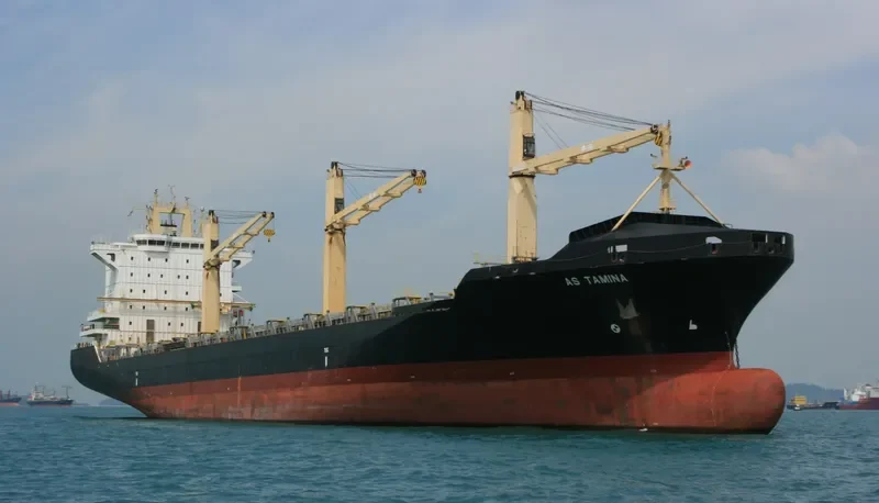 AS TAMINA Container Ship IMO 9158501