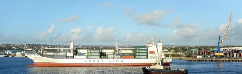 ORIENTAL REEFER General Cargo IMO 9158549 photo 10