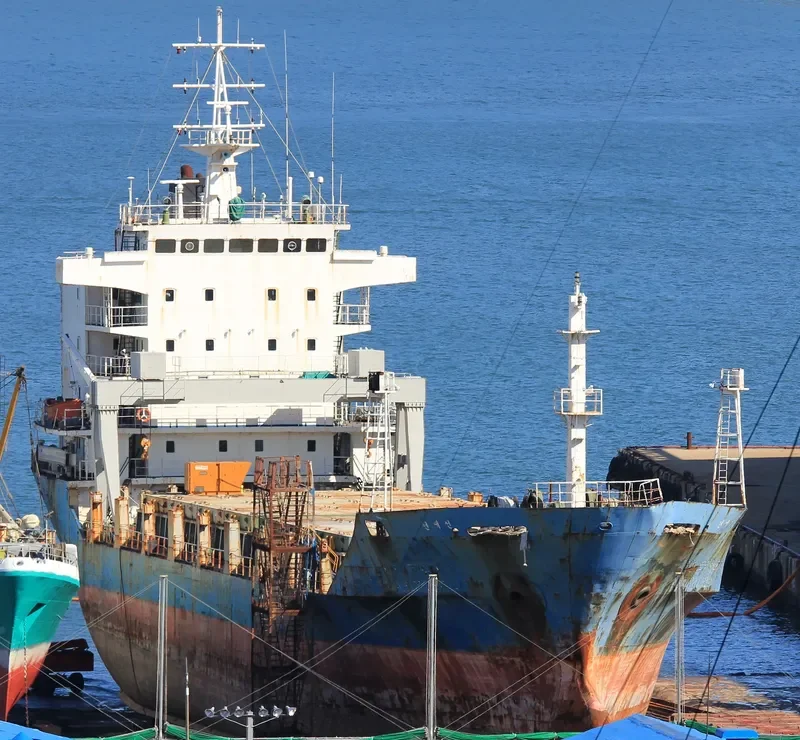 CHANGJO VENUS General Cargo IMO 9158771 photo 4