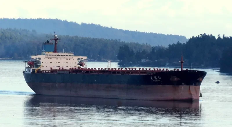 TIAN FU HAI Bulk Carrier IMO 9158800 photo 7