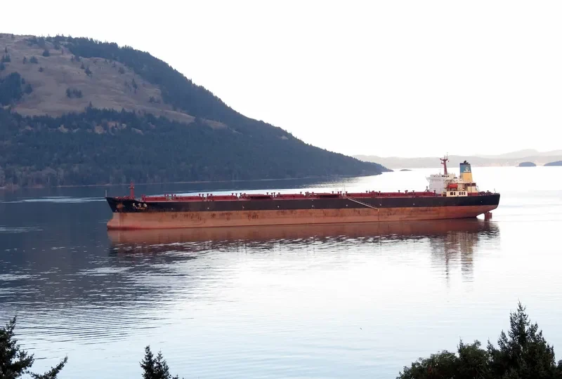 TIAN FU HAI Bulk Carrier IMO 9158800 photo 9