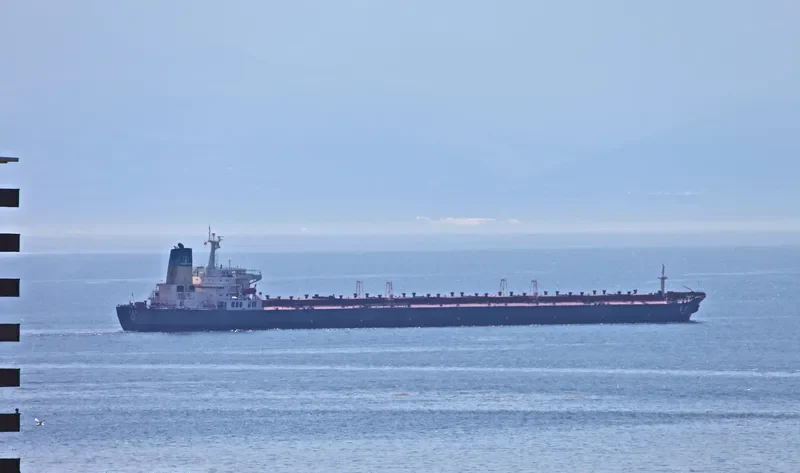 TIAN LI HAI Bulk Carrier IMO 9158812 photo 3