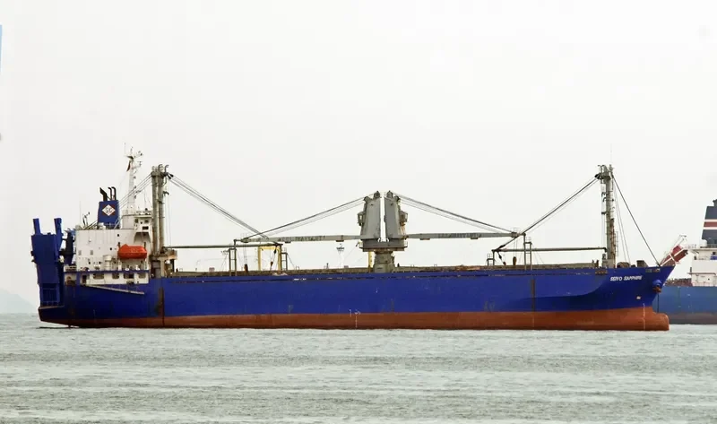 SEIYO SAPPHIRE General Cargo IMO 9159024 photo 2