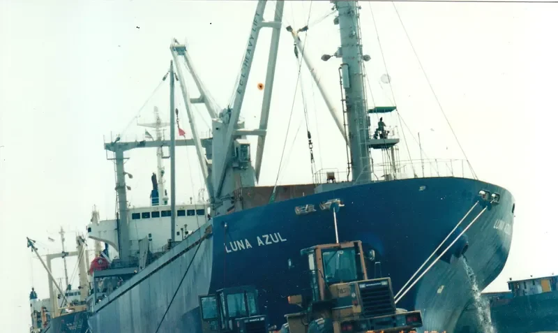 SEIYO SAPPHIRE General Cargo IMO 9159024 photo 4