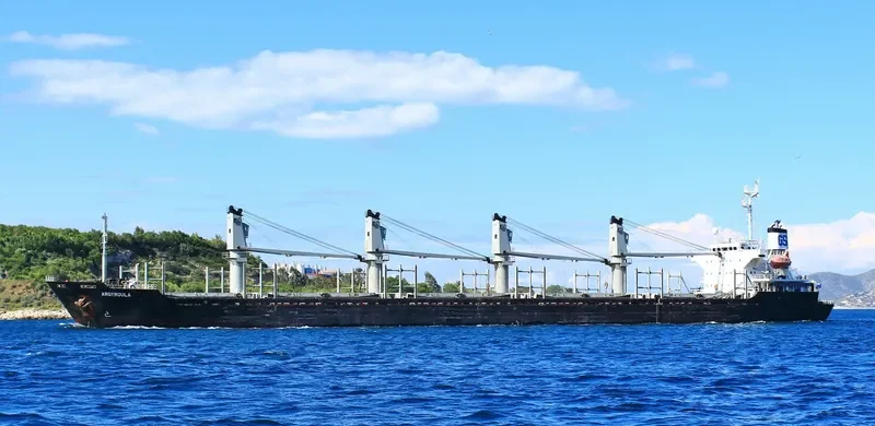 NEW VICTORY Bulk Carrier IMO 9159050