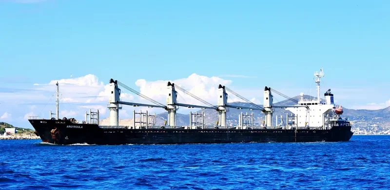 NEW VICTORY Bulk Carrier IMO 9159050 photo 2