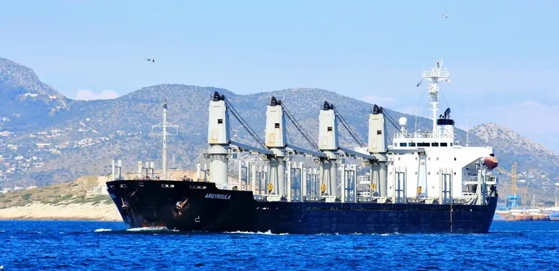 NEW VICTORY Bulk Carrier IMO 9159050 photo 3
