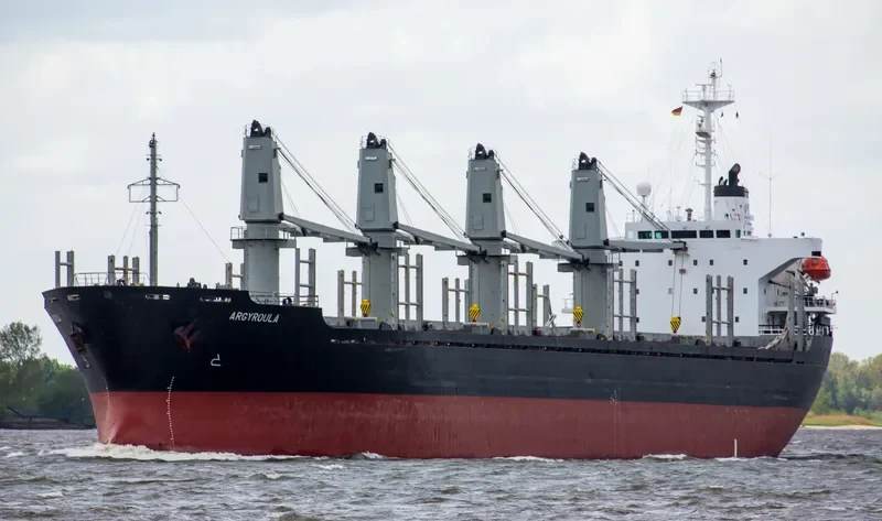 NEW VICTORY Bulk Carrier IMO 9159050 photo 4