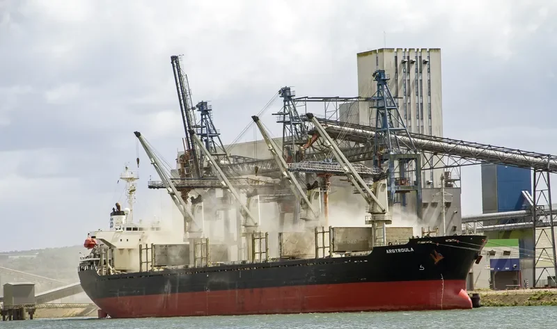 NEW VICTORY Bulk Carrier IMO 9159050 photo 7