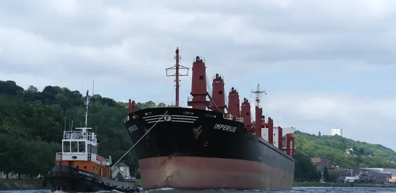 GREAT ARSENAL Bulk Carrier IMO 9159062 photo 8