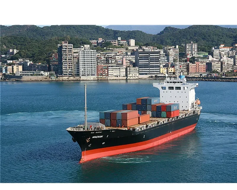 DANUM 171 Container Ship IMO 9159086 photo 10