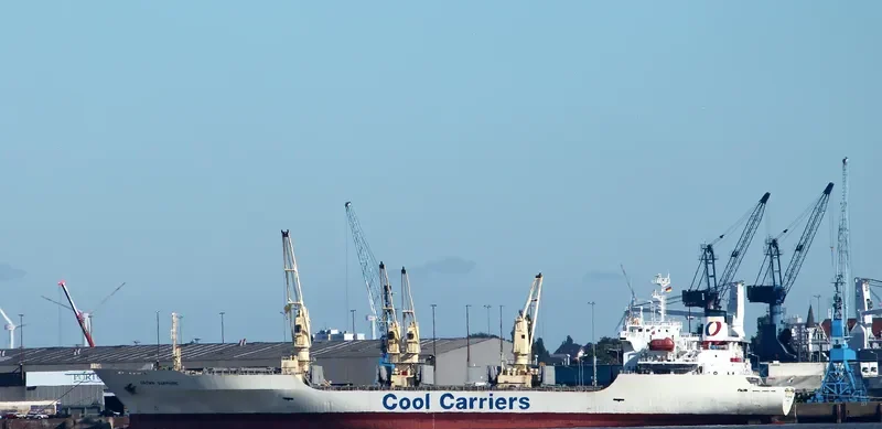 CROWN SAPPHIRE General Cargo IMO 9159115 photo 5